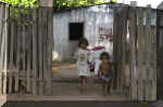 boa vista bimbi.jpg (153498 byte)
