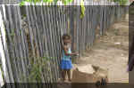 boa vista favelas bimba.jpg (189550 byte)
