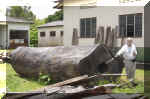 calunga tronco.jpg (184035 byte)