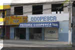 pesca 4.jpg (153020 byte)